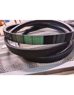 Pas AP 1001655 DOMINATOR, MEDION, MEGA