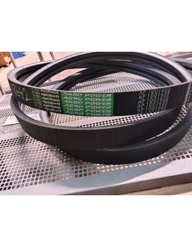 Pas AP 1001655 DOMINATOR, MEDION, MEGA