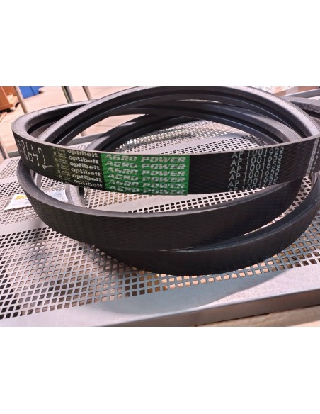 Pas AP 1001655 DOMINATOR, MEDION, MEGA