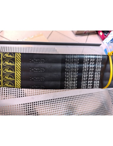 Pas 1425167 EE-TECH DOMINATOR 98