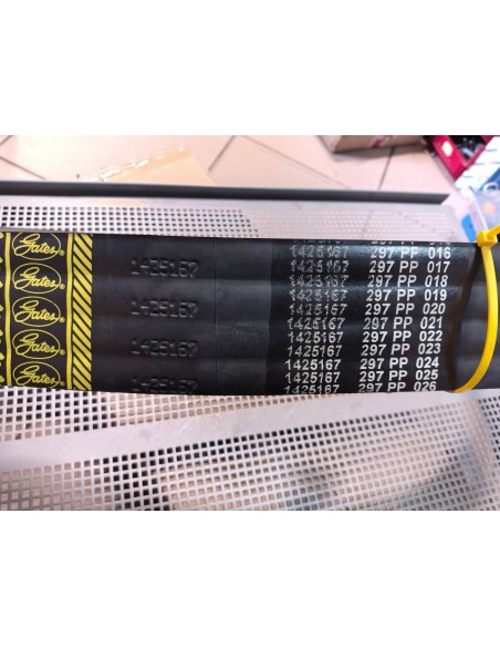 Pas 1425167 EE-TECH DOMINATOR 98
