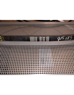 Pas 0302179